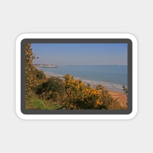 Bournemouth Pier from Alum Chine, February 2021 Magnet