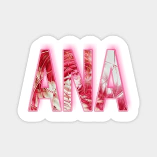 ANA name Magnet