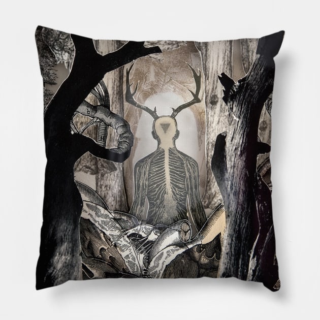 Meditation Pillow by AlexEckmanLawn