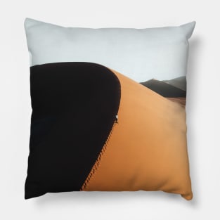 Namib National Park Pillow