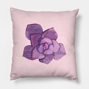 Cute Succulent Plant Pillow