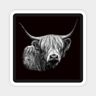 Highland Cow Portrait Magnet