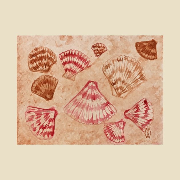 Scallop Seashells by Matt Starr Fine Art