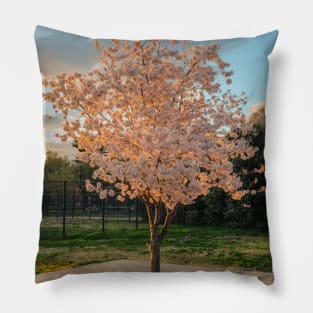 Cherry Blossom 7 Pillow