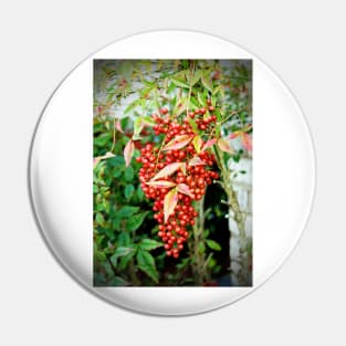 Red Berries Pin