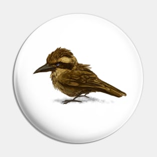 Kookaburra Pin