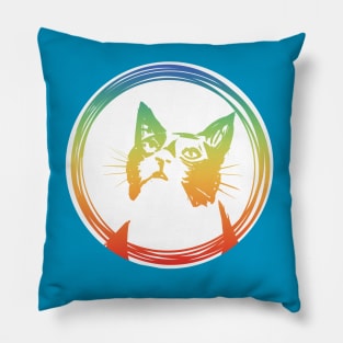 rainbow cat Pillow