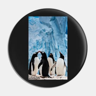 Penguins Pin