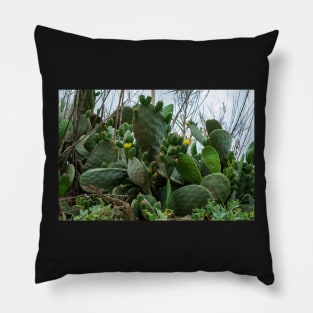 Opuntia, commonly called prickly pear Pillow