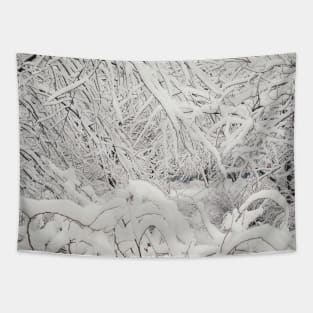 SNOW Tapestry