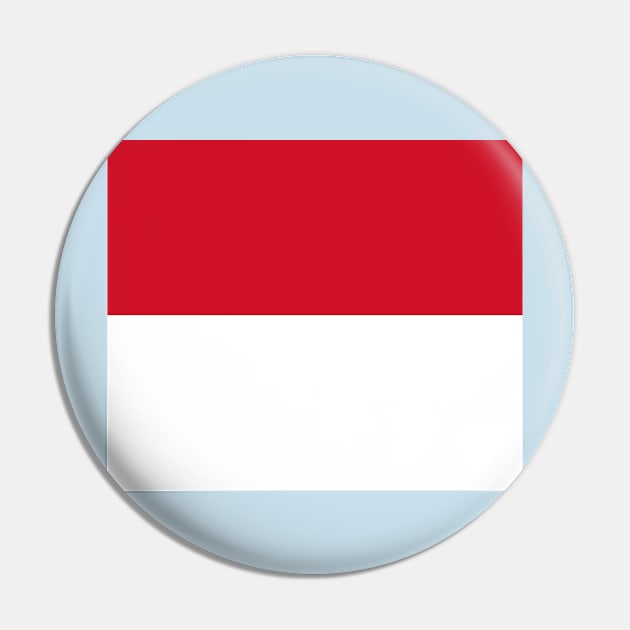 Monaco Flag Pin by flag for all