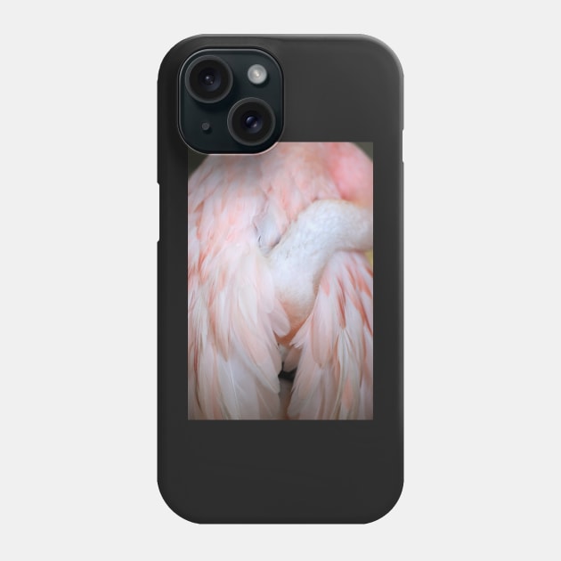 Flamingo #4 Phone Case by ALICIABOCK