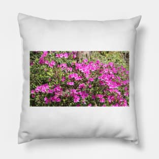 Pink Bushes Pillow