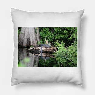 Cute Lazy Alligator Pillow