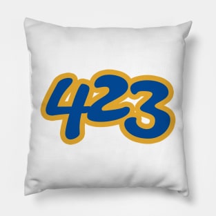 423 Pillow