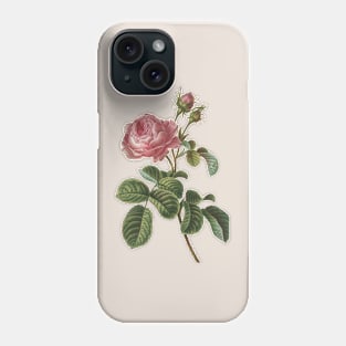 Rose Flower Vintage Botanical Illustration Phone Case