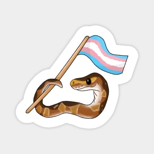 Ball Python Pride [Normal Morph, Transgender] Magnet