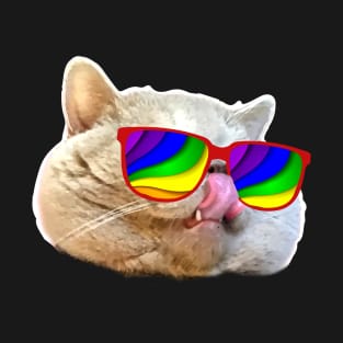 Crazy Sunglasses Cat T-Shirt