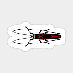 Beetle Magnet