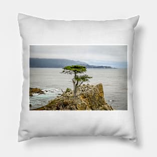 Lone Cypress Pillow