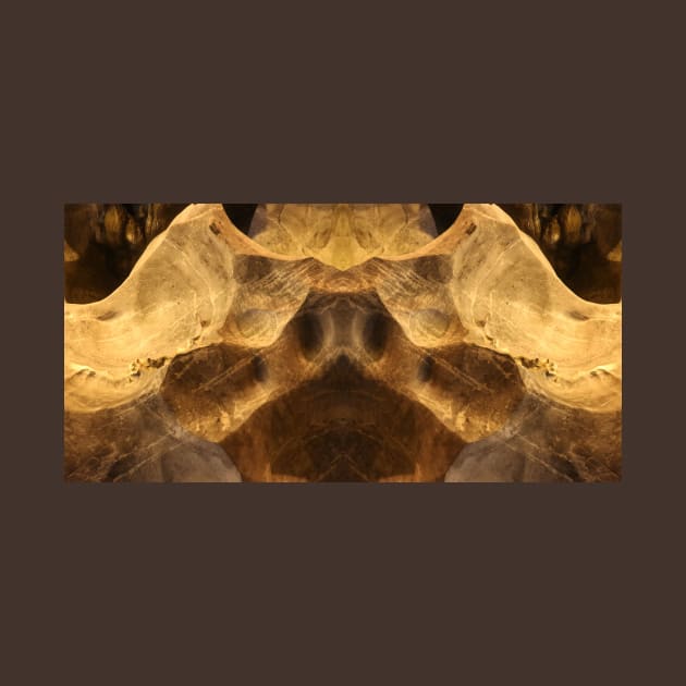 Abstract stretched pig snout on cave wall by kall3bu