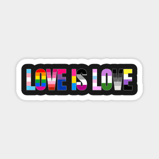 Love is Love LGBT Pride Rainbow Love LGBTQ Pride Allyship Magnet