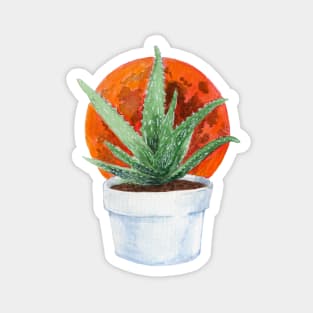 Aloe Moon Magnet