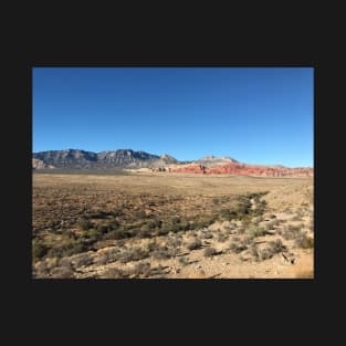 Death Valley T-Shirt