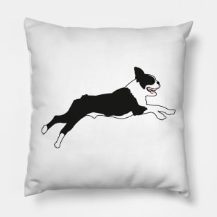 Boston Terrier in Green Pillow