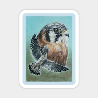 American Kestrel Magnet