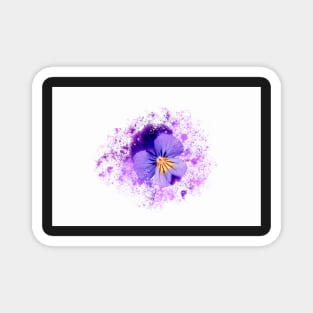 Purple pansy on white background Magnet