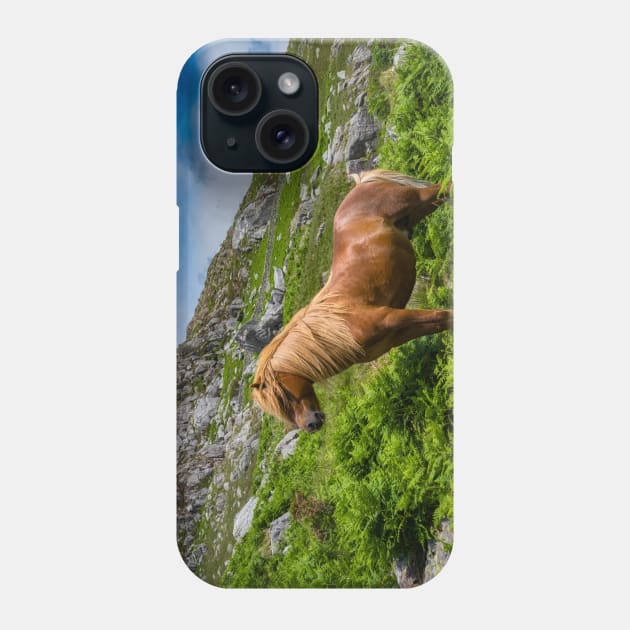 Welsh Mountain Pony Phone Case by Adrian Evans Photography