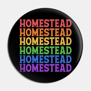 HOMESTEAD COLORFUL TEXT Pin