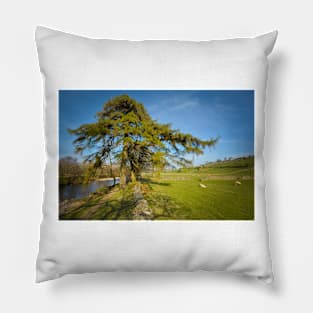 The River Swale Pillow