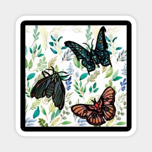 Butterflies and Moths Magnet