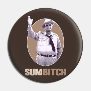 THE SHERIFF SAYS 'HI' Pin