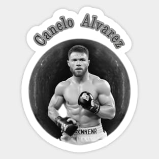 Saul el Canelo Team Canelo Boxing-New Canelo Flag shirt, hoodie