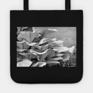 Magnificent Strata Tote