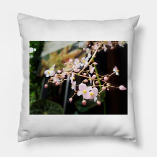 Pink flower Pillow