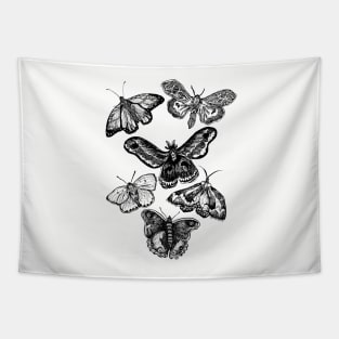 The Moths & Butterflies Tapestry