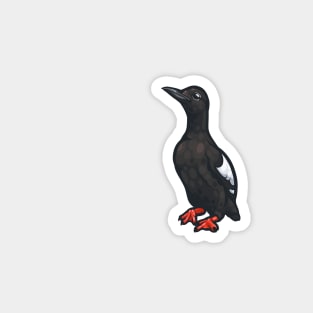 Pigeon Guillemot Magnet