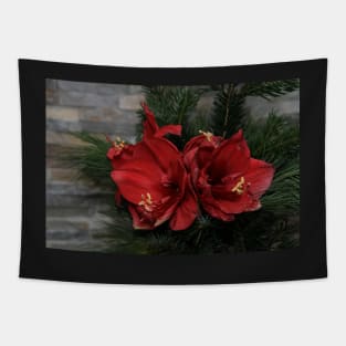 Knight's Star - Hippeastrum Tapestry