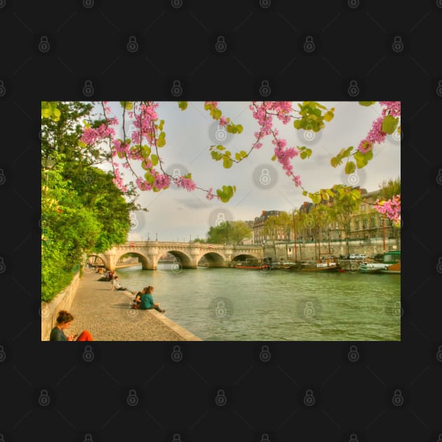 So Much Beauty In Paris .. It's In Seine by Michaelm43