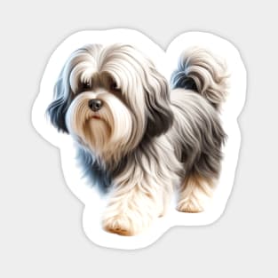 Havanese Magnet