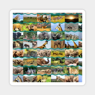 African Wildlife Collage Wave Lines Magnet