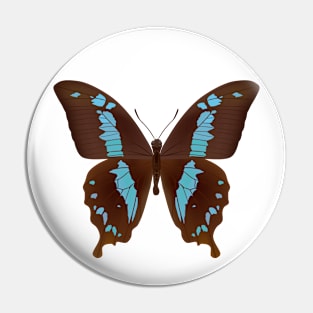 beautiful butterfly Pin