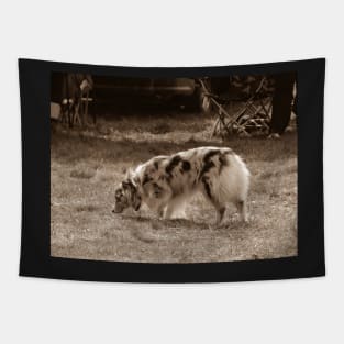 Dog show Tapestry