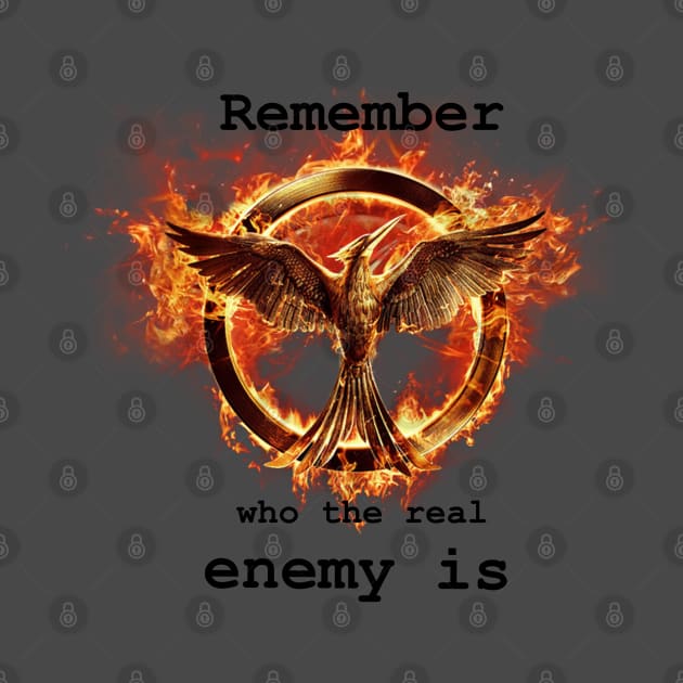 Catching fire: “Remember who the real enemy is” by Thalionwen Creates