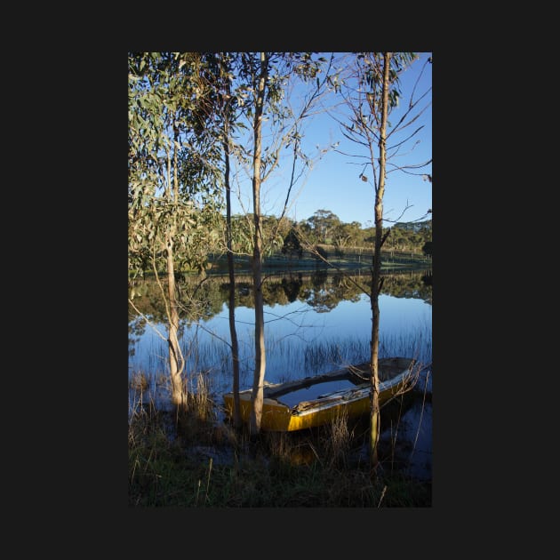 Reflections at the dam at Magpie Springs - Adelaide Hills Wine Region - Fleurieu Peninsula - South Australia by MagpieSprings