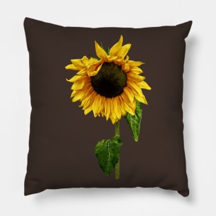 Sunflowers - Sunflower With Peakaboo Bangs Pillow